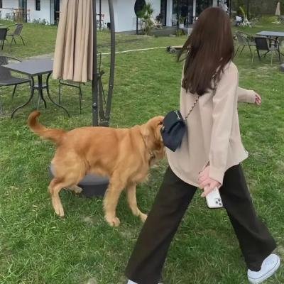 逆旅奇观